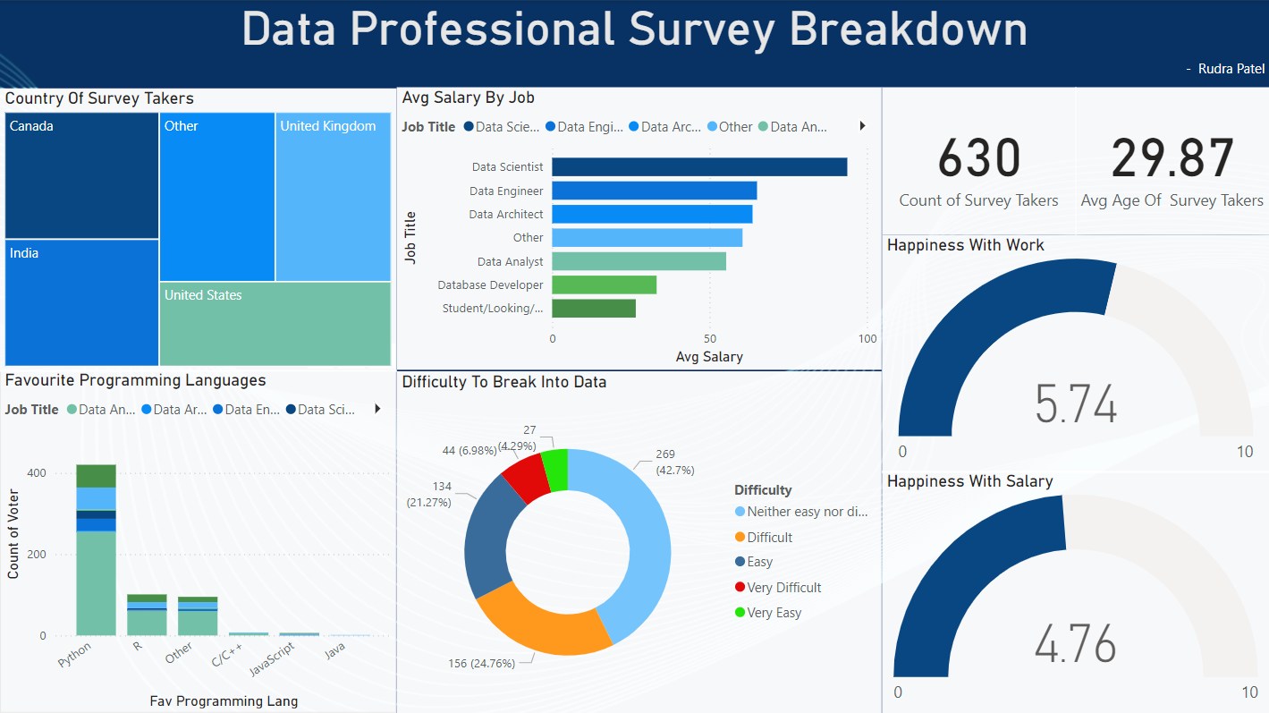 Data Professional Survey Dashboard